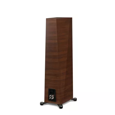 Paradigm Founder 100F à Genève | Digistore.ch