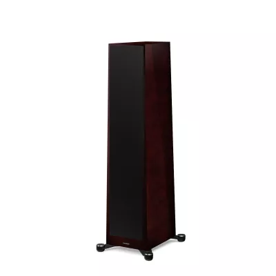 Paradigm Founder 100F à Genève | Digistore.ch