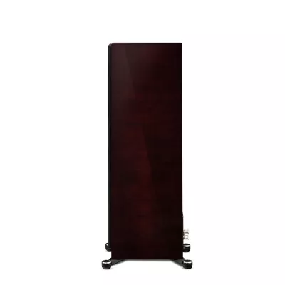 Paradigm Founder 100F à Genève | Digistore.ch