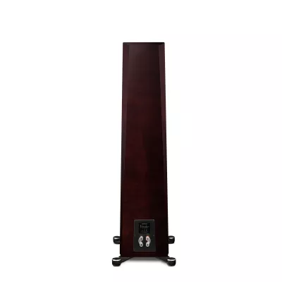 Paradigm Founder 100F à Genève | Digistore.ch