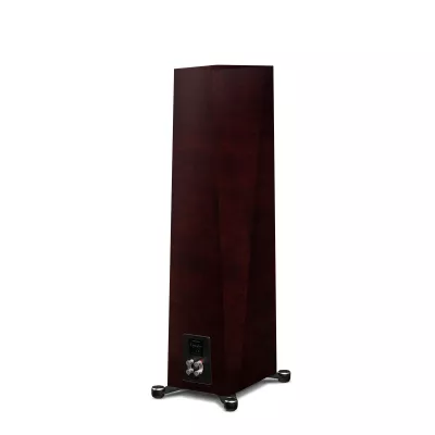 Paradigm Founder 100F à Genève | Digistore.ch