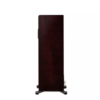 Paradigm Founder 100F à Genève | Digistore.ch