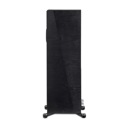 Paradigm Founder 120H a Ginevra | Digistore.ch