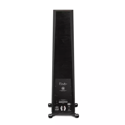 Paradigm Founder 120H a Ginevra | Digistore.ch