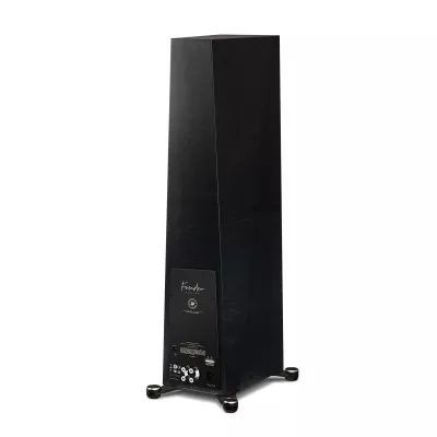 Paradigm Founder 120H a Ginevra | Digistore.ch