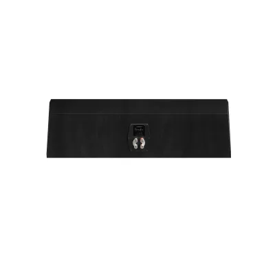 Paradigm Founder 90C a Ginevra | Digistore.ch