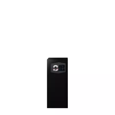 Paradigm Founder 70LCR à Genève | Digistore.ch