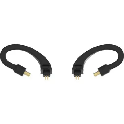 iFi Audio GO pod Pentaconn Ear in Geneva | Digistore.ch