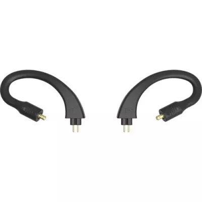 iFi Audio GO pod Ear Loops T2 à Genève | Digistore.ch