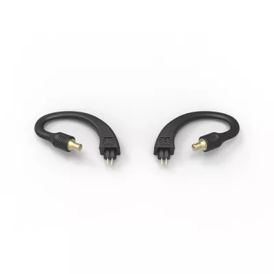 iFi Audio GO pod Ear Loops A2DC in Genf | Digistore.ch