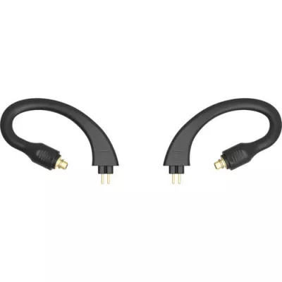 iFi Audio GO pod Ear Loops MMCX in Geneva | Digistore.ch