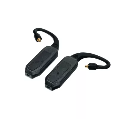 iFi Audio GO pod Ear Loops MMCX in Geneva | Digistore.ch