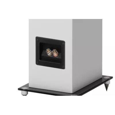 Pro-Ject Speaker Box 10 E Carbon in Genf | Digistore.ch