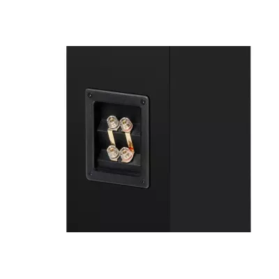 Pro-Ject Speaker Box 12 E Carbon in Geneva | Digistore.ch