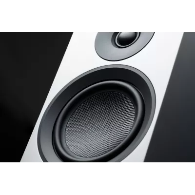 Pro-Ject Speaker Box 12 E Carbon in Genf | Digistore.ch