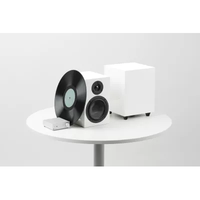 Pro-Ject Sub Box 50 E a Ginevra | Digistore.ch