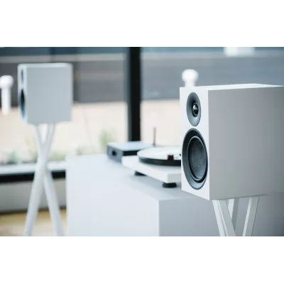 Pro-Ject Tristand in Genf | Digistore.ch