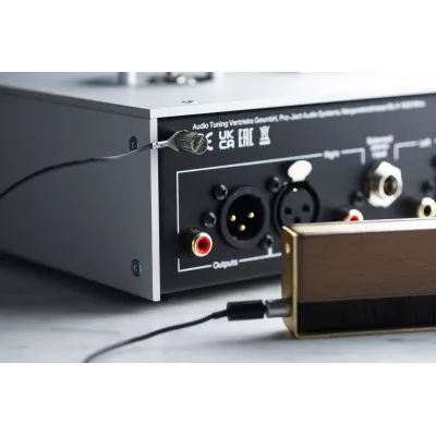Pro-Ject Brush it Premium a Ginevra | Digistore.ch