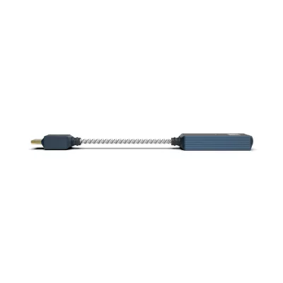 iFi Audio GO link 2 Max in Geneva | Digistore.ch