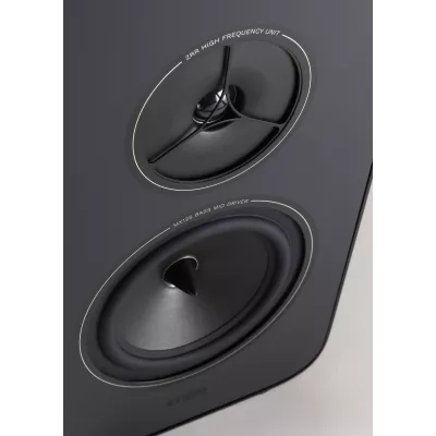 Rega Kyte in Genf | Digistore.ch