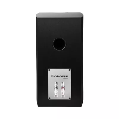 Cabasse Minorca MC40 in Genf | Digistore.ch