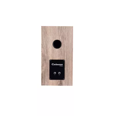 Cabasse Minorca MC40 in Genf | Digistore.ch