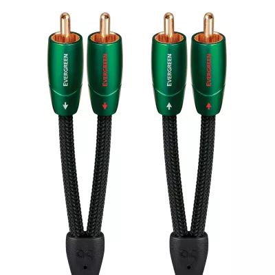 Audioquest Evergreen RCA-RCA in Geneva | Digistore.ch