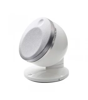 Focal DOME FLAX 1.0