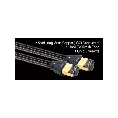 PEARL ETHERNET  Audioquest Digistore