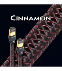 CINNAMON ETHERNET  Audioquest Digistore