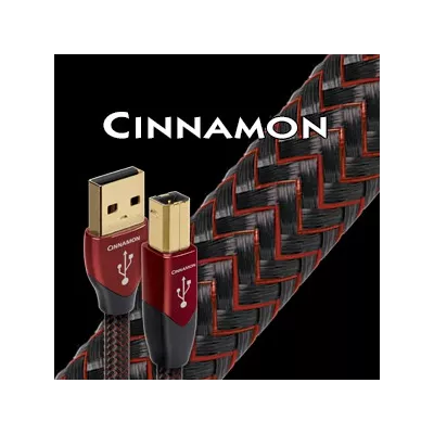 Audioquest Cinnamon USB in Genf | Digistore.ch