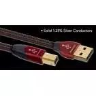 CINNAMON USB  Audioquest Digistore