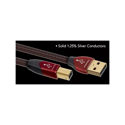 CINNAMON USB  Audioquest Digistore