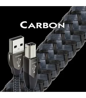 Carbon USB