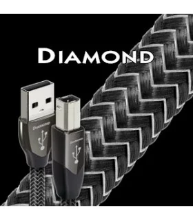 DIAMOND USB  Audioquest Digistore