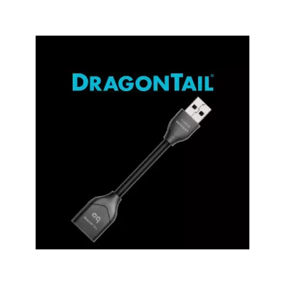 Audioquest Dragon Fly Dragontail in Geneva | Digistore.ch