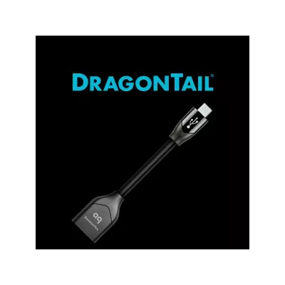Audioquest Dragon Fly Dragontail in Geneva | Digistore.ch