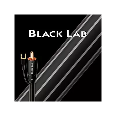 BLACK LAB  Audioquest Digistore