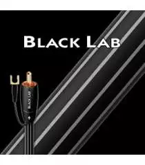 BLACK LAB  Audioquest Digistore