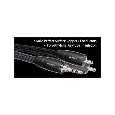Audioquest Sydney Analog in Genf | Digistore.ch