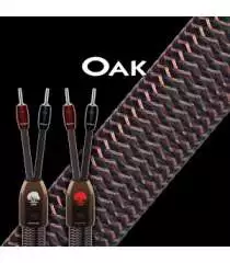 OAK - 0,5M SUPPLEMENTAIRE  Audioquest Digistore