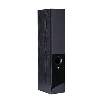 Wilson RAPTOR 5 (Paar) in Genf | Digistore.ch