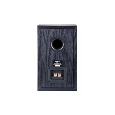 Wilson Raptor 3 (pair) in Geneva | Digistore.ch
