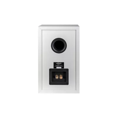 Wilson Raptor 3 (pair) in Geneva | Digistore.ch