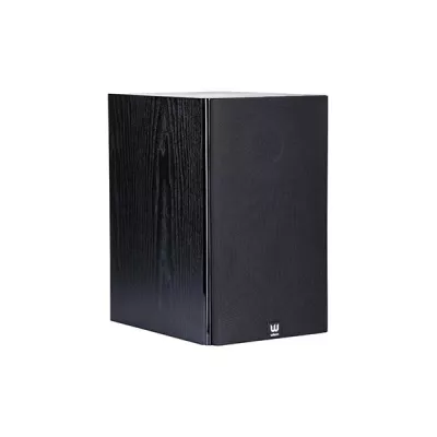 RAPTOR 1  Wilson Digistore