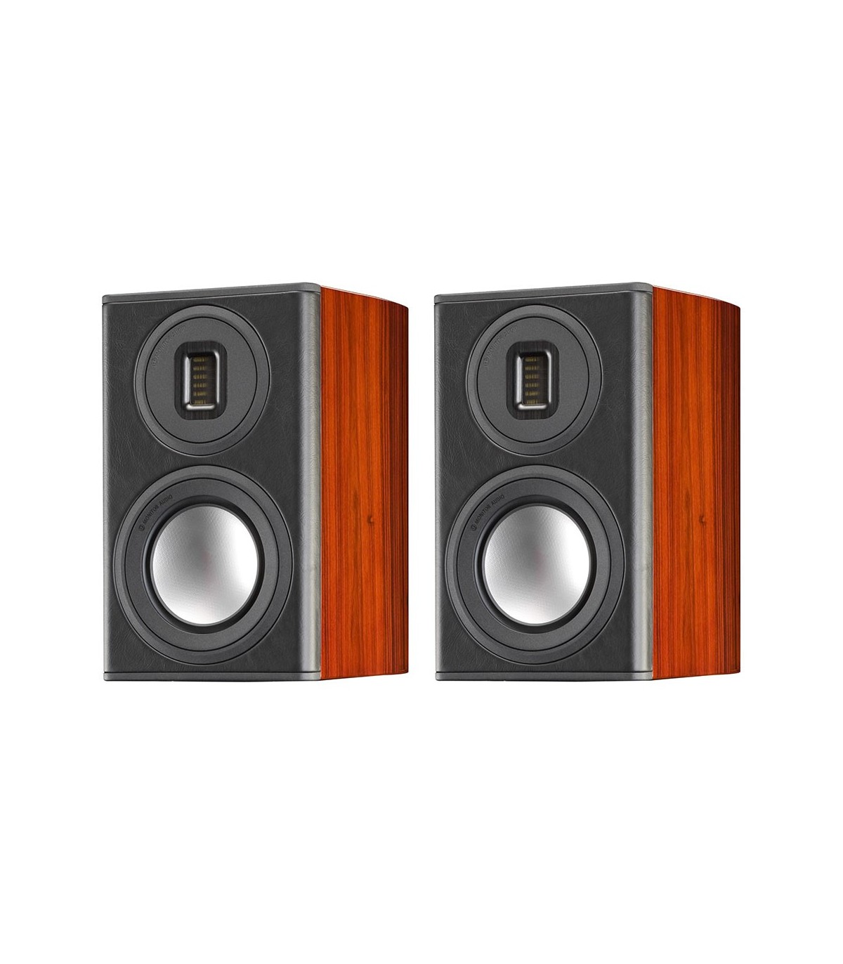 PL100 II  Monitor Audio Digistore