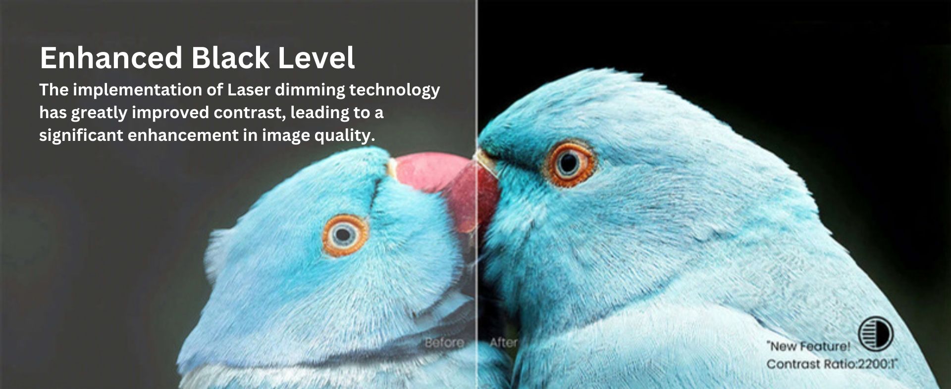 Awol Vision LTV-3500 Pro | Niveau de noir amélioré | La mise en uvre de la technologie de gradation laser a permis d'améliorer considérablement le contraste, ce qui se traduit par une amélioration significative de la qualité de l'image.