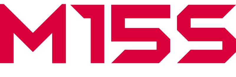 Logo FiiO M15