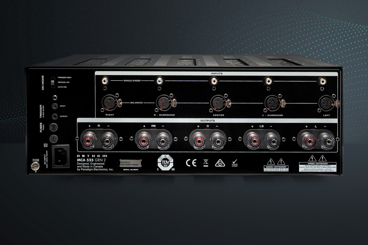 Power amplifier seen from the rear, XLR and RCA inputs above the speaker binding posts