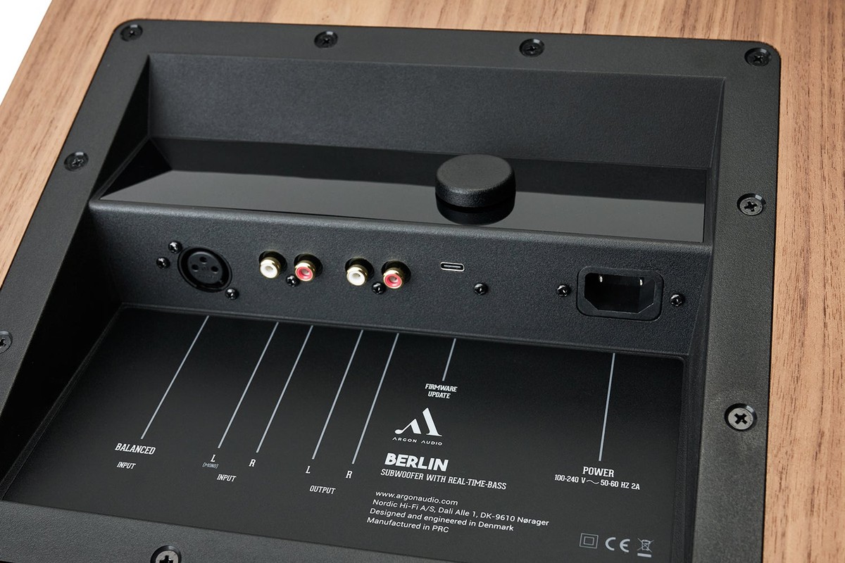 Pannello posteriore con ingressi XLR e RCA, porta USB-C e manopola su un cabinet in noce
